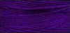 糸紫